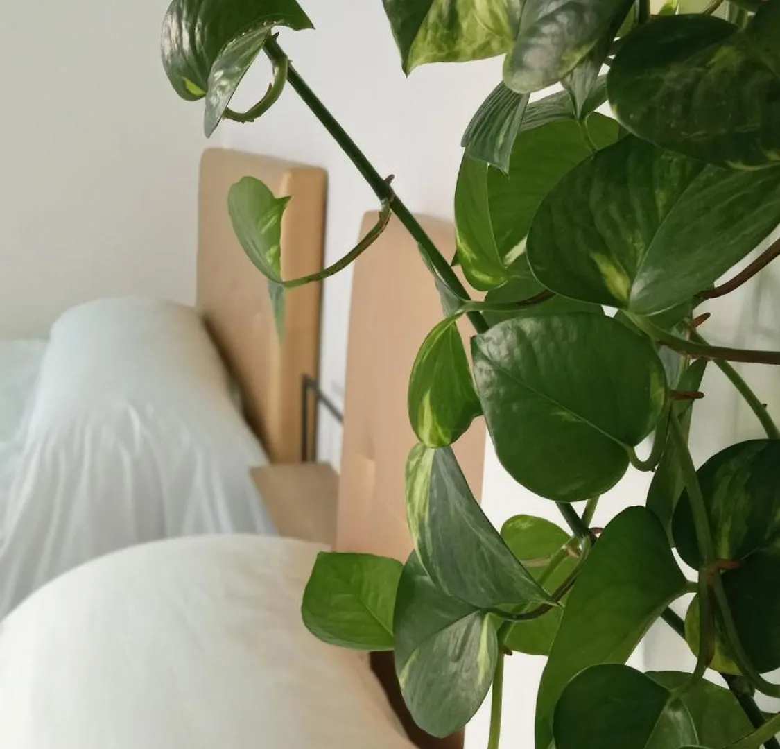 Guest house La Villa Del Sastre Velez Malaga